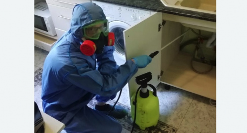 Уничтожение муравьев в квартире. Будённовск