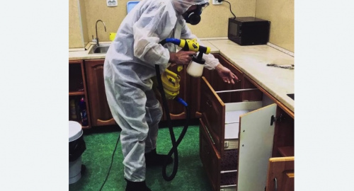 Дезинсекция квартиры. Будённовск