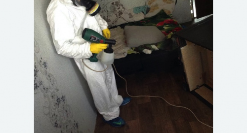 Дезинсекция помещения в Будённовске