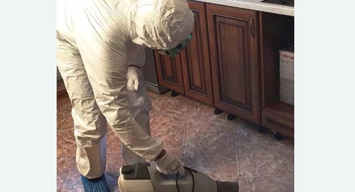 Уничтожение тараканов в квартире. Будённовск