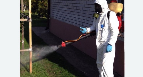 Уничтожение клещей на участке в Будённовске