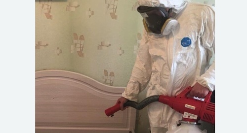 Уничтожение клещей в квартире. Будённовск
