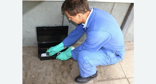 Уничтожение мышей в квартире в Будённовске