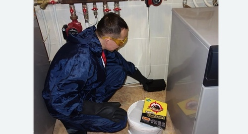 Дератизация крыс. Будённовск