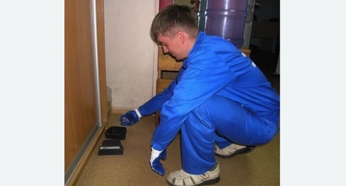 Обработка от крыс в Будённовске