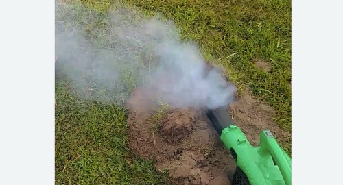 Обработка от кротов в Будённовске