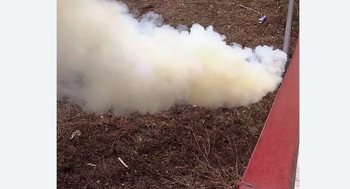 Уничтожение кротов на участке в Будённовске