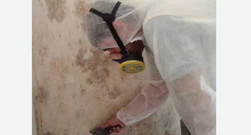 Обработка стен от плесени в Будённовске