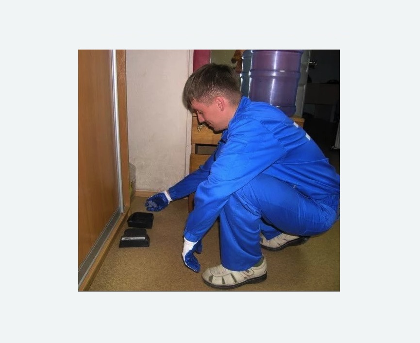 Дератизация крыс в Будённовске