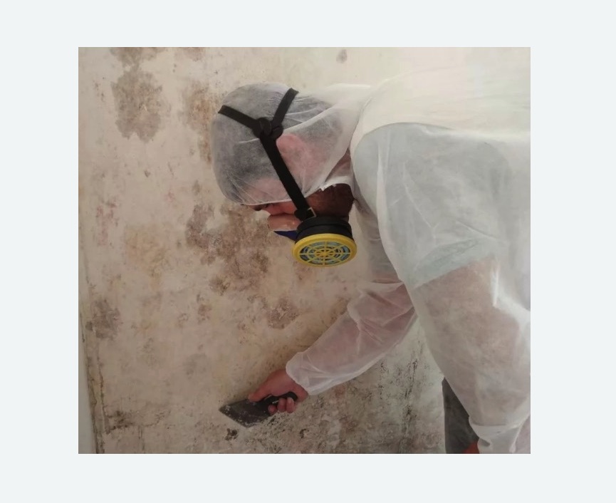 Обработка стен от плесени в Будённовске