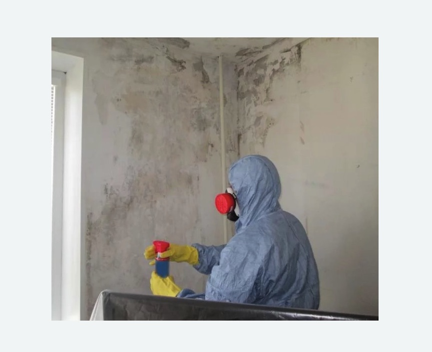 Удаление плесени в квартире в Будённовске