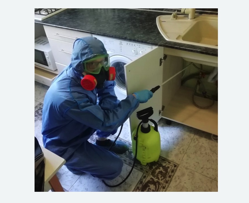 обработка от муравьев в квартире в Будённовске