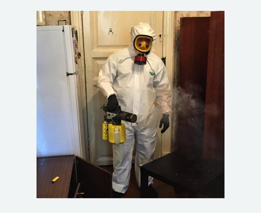 уничтожение муравьев в квартире в Будённовске